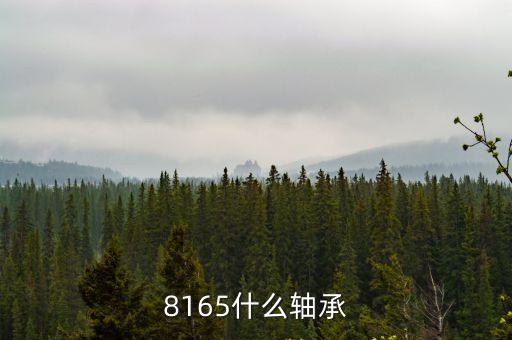 8165什么軸承