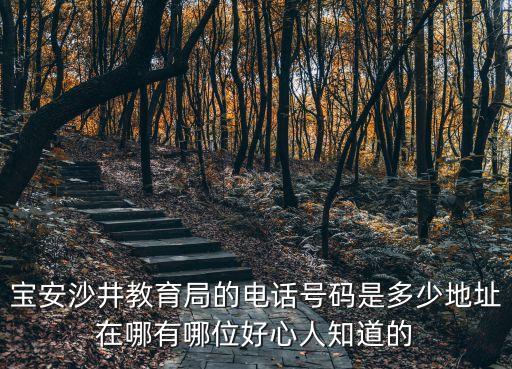 深圳沙井教育局的上班時間，教育局上班時間是好久