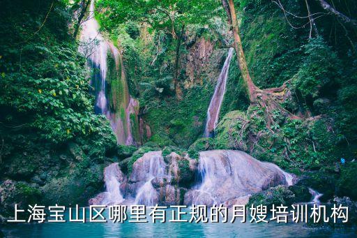 上海市保姆培訓(xùn)中心，上海月嫂的培訓(xùn)機(jī)構(gòu)