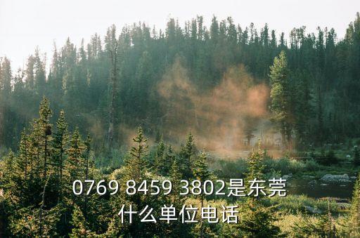 0769 8459 3802是東莞什么單位電話(huà)