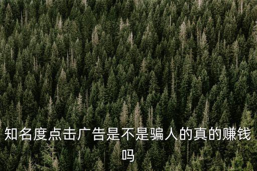 深圳帥大媽真的盈利嗎，我想盤下一家西餐廳我能通過什么來判斷餐廳盈利情況店主說每天
