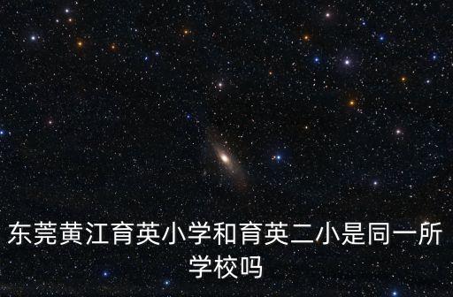 東莞樟木頭小學食堂承包方案，東莞市五星職業技術學校伙食如何