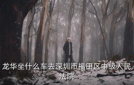 深圳龍華法院附近，龍華坐什么車去深圳市福田區中級人民法院