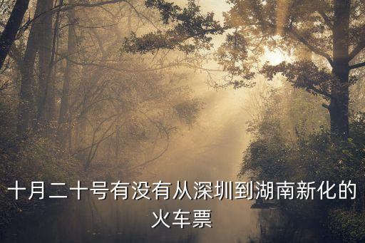 12306深圳到新化的火車票查詢，深圳東站有沒有到新化的火車