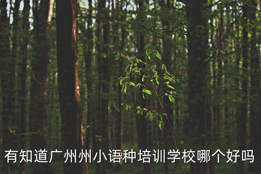 廣州小語種中轉排名，廣州最吃香的小語種