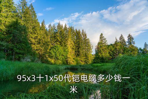 95x3十1x50代鎧電纜多少錢一米