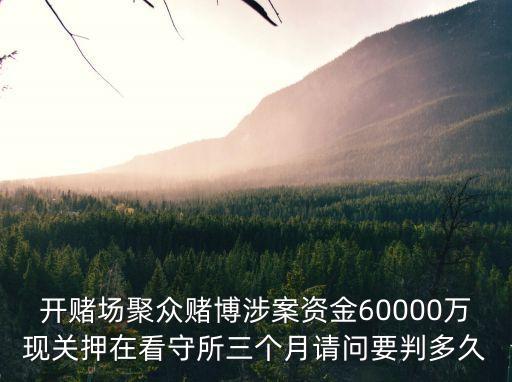 廣州賭博案判決，2月25號因為賭博罪被捉4月4號收到批捕書6月19號一審開庭了