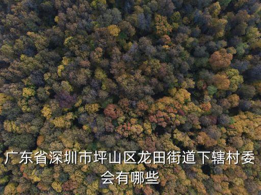 廣東省深圳市坪山區龍田街道下轄村委會有哪些