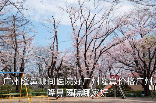 廣州隆鼻哪間醫(yī)院好廣州隆鼻價(jià)格廣州隆鼻醫(yī)院哪家好