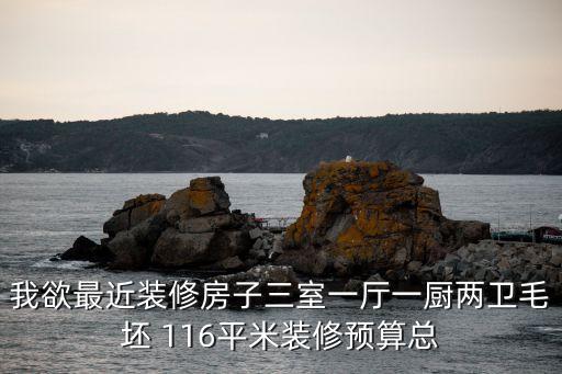東莞米蘭公館116平裝修效果圖，我家新買的房子116平方的三室兩廳一衛有人幫忙設計下嗎給