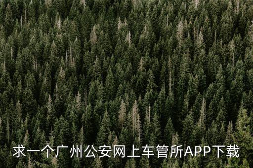 廣州億程車管下載，下載交管123