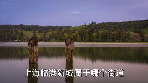 上海市浦東臨港新城屬于什么地方，臨港新城是哪個區(qū)的