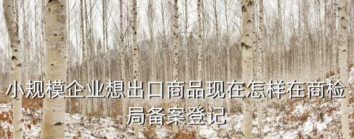 小規模企業想出口商品現在怎樣在商檢局備案登記