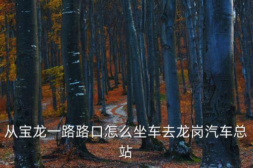 寶龍路到深圳龍崗廣場公交，從寶龍比亞迪去龍崗中心城珠江廣場應該坐什么車
