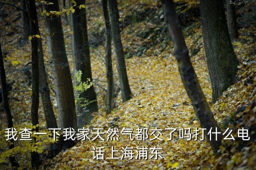 我查一下我家天然氣都交了嗎打什么電話上海浦東