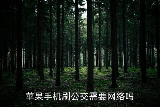 蘋果深圳通刷卡乘車需要網絡嗎，apple pay支付需要聯網嗎