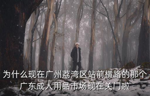 為什么現(xiàn)在廣州荔灣區(qū)站前橫路的那個(gè)廣東成人用品市場(chǎng)現(xiàn)在關(guān)門(mén)啦
