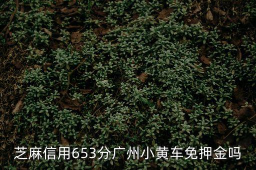 芝麻信用653分廣州小黃車免押金嗎