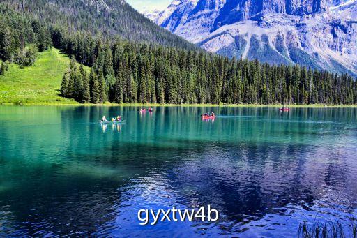 gyxtw4b