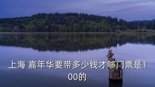 上海市金沙嘉年華，上海嘉年華100元的可以玩多少項目