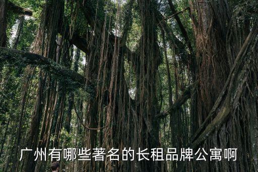 廣州有哪些著名的長租品牌公寓啊