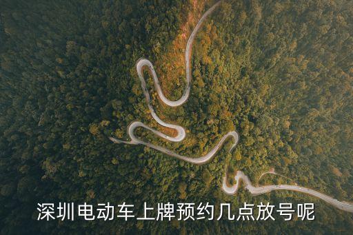 深圳電動車上牌預約幾點放號呢