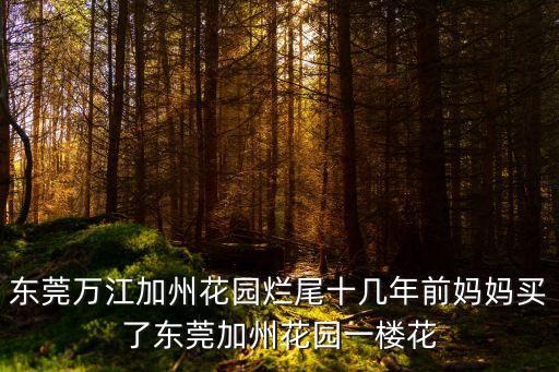 東莞萬江國際花園，東莞萬江加州花園爛尾十幾年前媽媽買了東莞加州花園一樓花