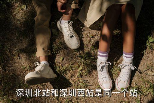 深圳西 深圳北 深圳分別是什么站，深圳站 深圳北 深圳西 那個是羅湖站啊 求指點