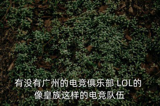 有沒有廣州的電競俱樂部 LOL的 像皇族這樣的電競隊伍