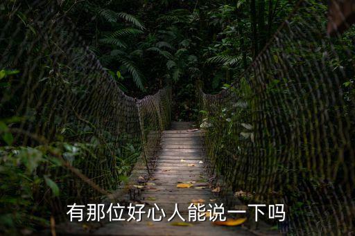 有那位好心人能說一下嗎