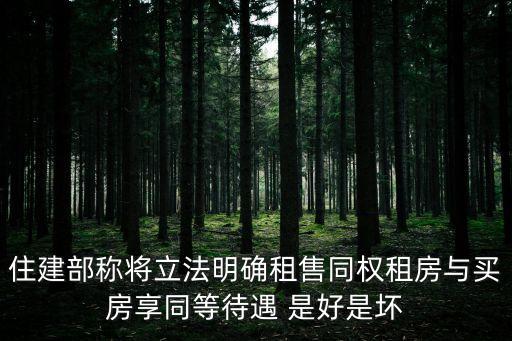 住建部稱(chēng)將立法明確租售同權(quán)租房與買(mǎi)房享同等待遇 是好是壞