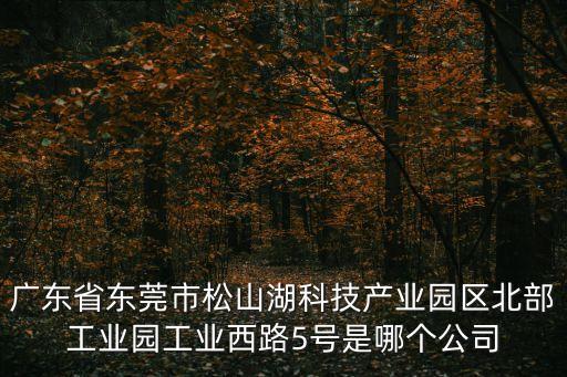 廣東省東莞市松山湖科技產業園區北部工業園工業西路5號是哪個公司