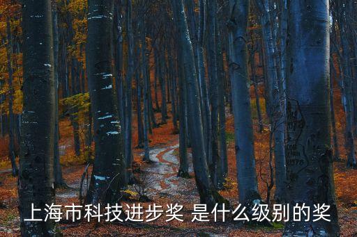 上海市水務(wù)海洋科學(xué)技術(shù)獎(jiǎng)，海洋工程科學(xué)技術(shù)獎(jiǎng) 什么級(jí)別