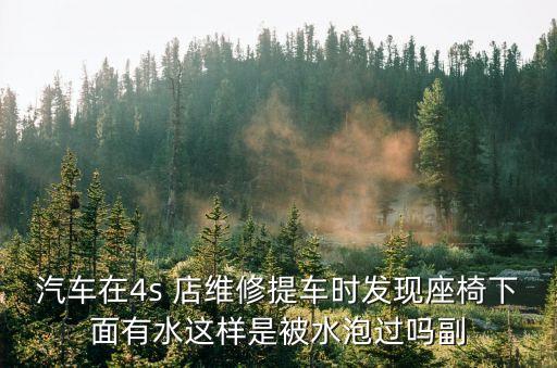 汽車在4s 店維修提車時(shí)發(fā)現(xiàn)座椅下面有水這樣是被水泡過嗎副