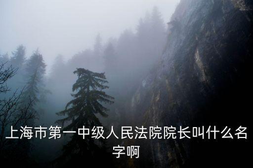 上海市一中院徐鵬飛，上海市第一中級人民法院執行局局長是誰