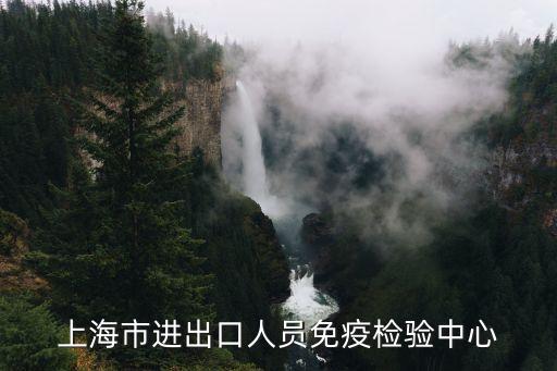 上海市科委趙泉，外研杯第24屆上海市中學生作文競賽