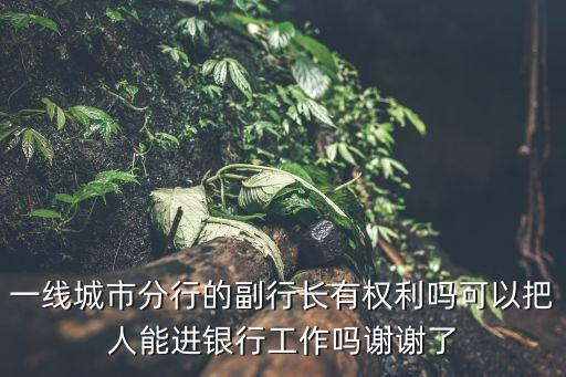 一線城市分行的副行長(zhǎng)有權(quán)利嗎可以把人能進(jìn)銀行工作嗎謝謝了