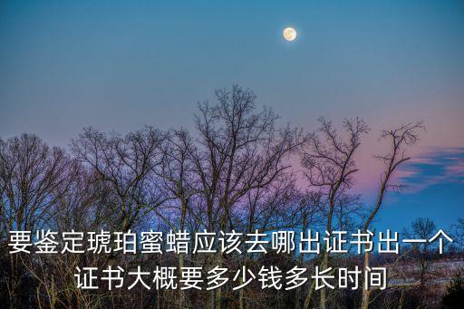 廣州哪里鑒定蜜蠟，廣州蜜蠟國檢鑒定在那里