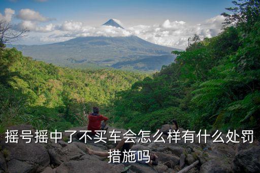 搖號搖中了不買車會怎么樣有什么處罰措施嗎