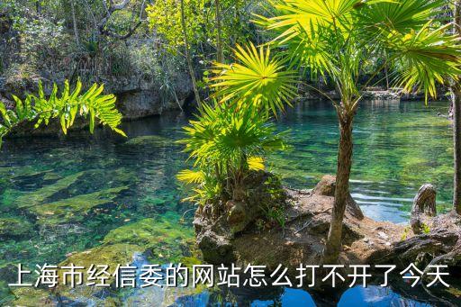 上海市經(jīng)信局官網(wǎng)，上海 網(wǎng)站備案 怎么查詢 有沒有過期