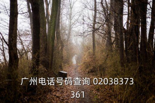 廣州電話號碼查詢 02038373361