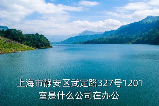 上海市興維商務(wù)樓，上海市浦東新區(qū)川沙路1793號(hào)是干什么的