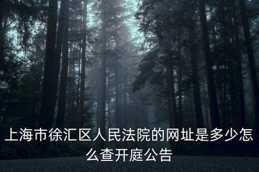 上海市徐iE區法院地址多少號，上海徐匯法院在哪條路
