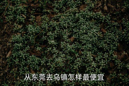 東莞到烏鎮(zhèn)最便宜的路線，東莞出發(fā)到烏鎮(zhèn)的經(jīng)濟旅游