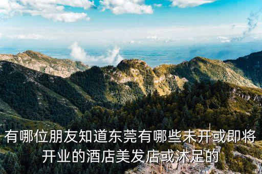 有哪位朋友知道東莞有哪些未開或即將開業(yè)的酒店美發(fā)店或沐足的