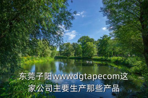 東莞子陽wwwdgtapecom這家公司主要生產那些產品