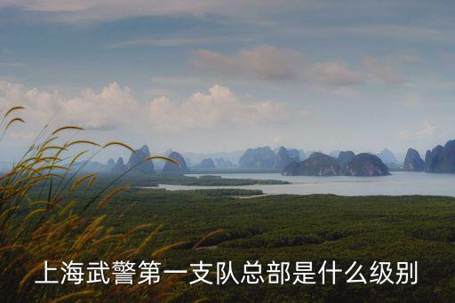 上海武警第一支隊(duì)總部是什么級別