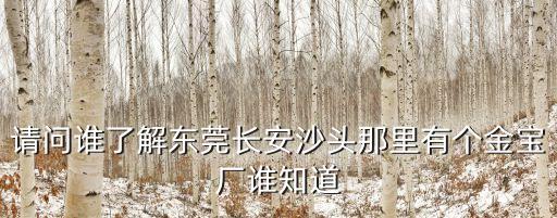 請(qǐng)問誰了解東莞長(zhǎng)安沙頭那里有個(gè)金寶廠誰知道