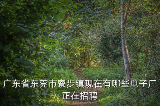 東莞市天域半導體公司招聘，東莞有哪些公司要招單片機人才