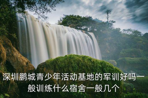 朝鮮青年人在中國深圳參觀，有沒有朝鮮人來深圳打工的都在那個區